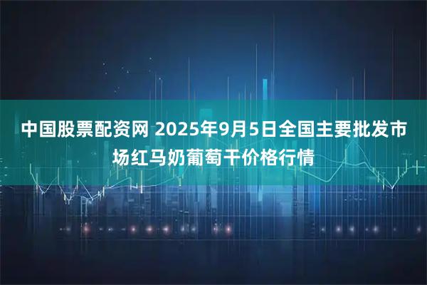 中国股票配资网 2025年9月5日全国主要批发市场红马奶葡萄干价格行情