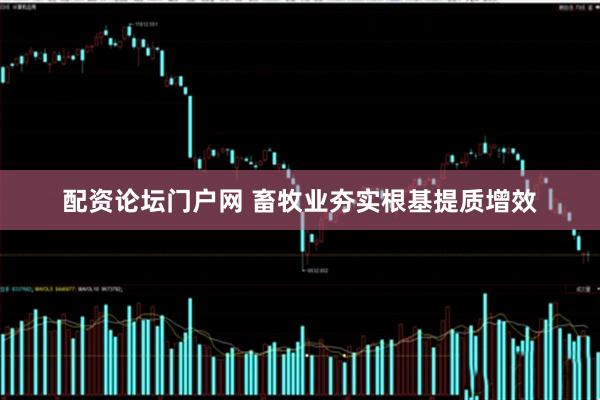配资论坛门户网 畜牧业夯实根基提质增效